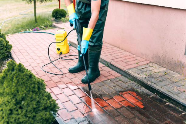 Best Deck Pressure Washing  in Paonia, CO