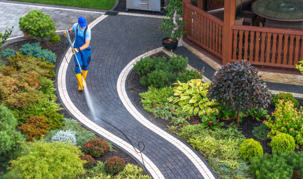 Best House Pressure Washing  in Paonia, CO
